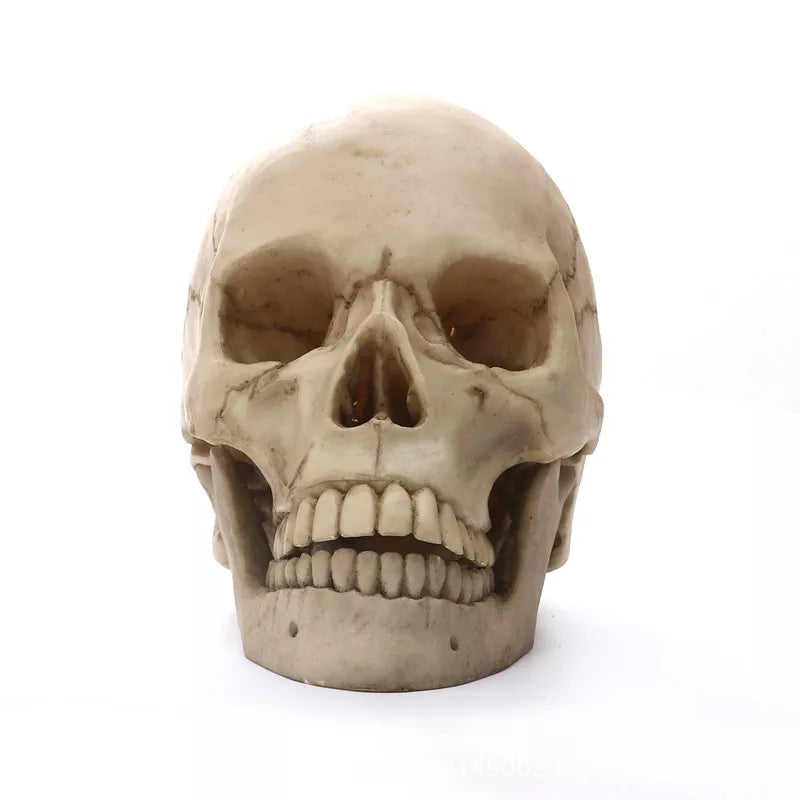 Embrace the allure of self-discovery with the Human Skull Statue, a captivating blend of artistry and intrigue. This exquisite piece invites you to explore the beauty of the human form, serving as both a striking decor element and a thoughtful conversation starter. Let its realistic detailing inspire your creativity and appreciation for the intricate wonders of anatomy, all while adding a touch of mystique to your space. Perfect for those who celebrate the elegance of life in all its forms.